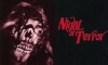 Night of Terror (1986)