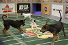 Puppy Bowl V (2009)
