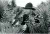 Silver on the Sage (1939)