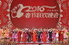 2016 Nian zhong yang dian shi tai chun jie lian huan wan hui (2016)
