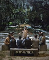 The Passion (2016)