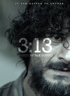 313 (2008)