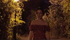 Firefly (2018)