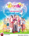Gordis (2012)