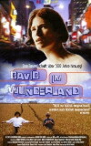 David im Wunderland (1998)