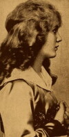 The Gentle Intruder (1917)