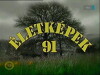 Életképek (2004)