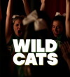 WildCats (2014)