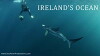 Ireland's Ocean (2014)