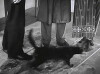 Lightning Strikes Twice (1934)