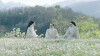 The Little Hours (2017)