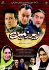 Zirzamin (2007)