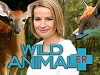 Wild Animal ER (2008)
