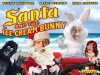 Santa and the Ice Cream Bunny (1972)