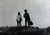 Afigisi/Peripeteia/Glossa/Siopi (1979)