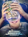The Mysterious Wonderful (2016)