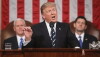 President Donald Trump's 2017 Joint Address to Congress (2017)