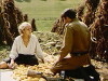 Stracheni svitanki (1995)