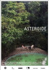 Asteroide (2014)