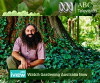 Gardening Australia (1990)