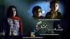 Shab e Zindgi (2014)