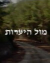 Facing the Forest (1999)