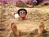 Fantasy (1982)