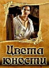 I colori della gioventù (2006)