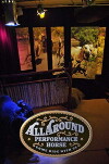 All Around Performance Horse (2005)