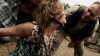 Everglades (2016)