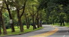 West River Drive (2002)