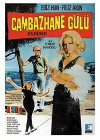 Cambazhane gülü (1971)