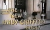 The New Andy Griffith Show (1971)