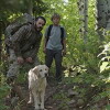 Stella (2016)
