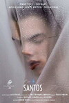 Santos (2017)