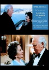 Daisies in December (1995)