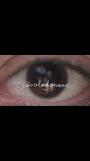Djävulsdansen (2014)