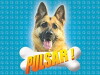 Pulsar (2008)