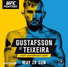 UFC Fight Night: Gustafsson vs. Teixeira (2017)