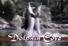 Dolphin Cove (1989)