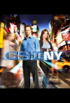 CSI: NY (2004)