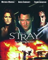 The Stray (2000)