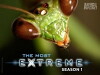 The Most Extreme (2002)