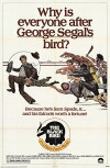 The Black Bird (1975)