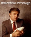 Executive Privilege (2017)