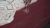 Spoon (2017)