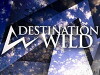 Destination Wild (2006)