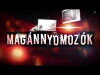 Magánnyomozók (2014)