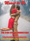 Meant to Be (2017)