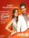Arranged Marriage (2016)
